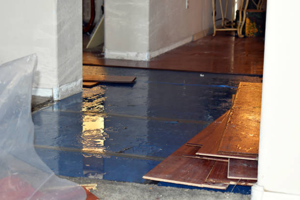 Professional Basement Flood Cleanup technician working in Memphis, FL